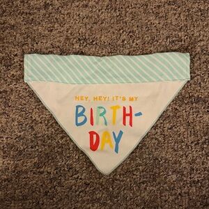 Birthday Dog Bandana with Colorful Print